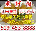 龙轩阁