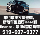 伦敦 Highbury Ford 销售贷款顾问 Michael Zhao 赵亚泽
