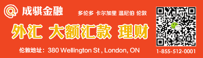 成琪金融