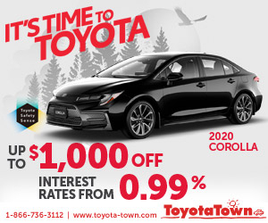 TT-PPC-Banner-300x250-Corolla-06-04-19.jpg.thumb.jpg